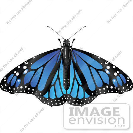 #56427 Royalty-Free (RF) Clip Art Illustration Of A Spanned Blue Monarch Butterfly by pushkin