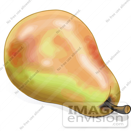 #56508 Royalty-Free (RF) Clip Art Illustration Of A Ripe Orange And Yellow Pear With A Stem by pushkin