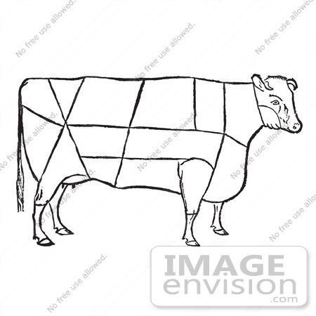 #61351 Retro Clipart Of A Vintage Cow Showing The Cuttings Of Beef - Royalty Free Vector Illustration by JVPD