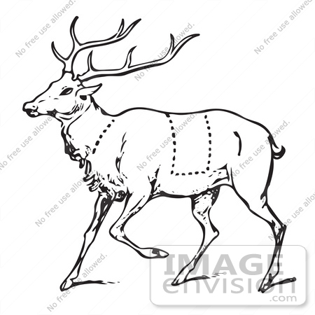 #61465 Clipart Of A Vintage Black And White Deer With Butcher Sections Of Venison Cuts - Royalty Free Vector Illustration by JVPD