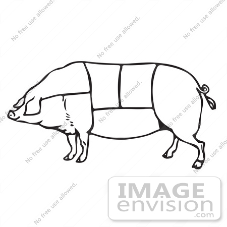 #61466 Clipart Of A Black And White Pig With Butcher Sections Of Meat Cuts - Royalty Free Vector Illustration by JVPD