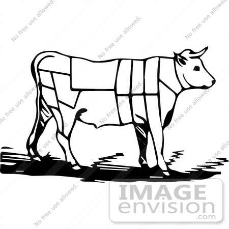 #61467 Vintage Clipart Of A Black and White Cow With Butcher Sections of Bullock - Royalty Free Vector Illustration by JVPD