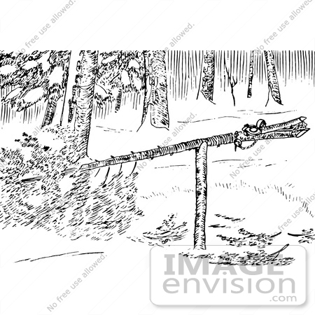 #61564 Clipart Of A Marten Trap Set In Black And White - Royalty Free Vector Illustration by JVPD