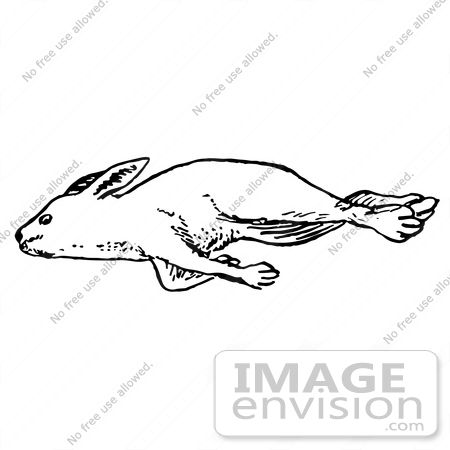 #61583 Clipart Of A Dead Rabbit In Black And White - Royalty Free Vector Illustration by JVPD