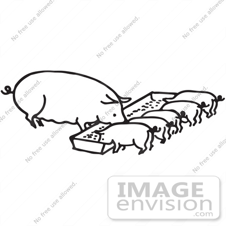 #61594 Clipart Of A Sow And Piglets Eating In Black And White - Royalty Free Vector Illustration by JVPD