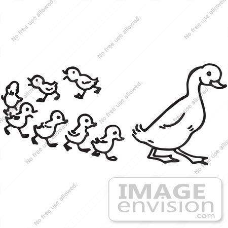 #61599 Clipart Of A Duck And Ducklings In Black And White - Royalty Free Vector Illustration by JVPD