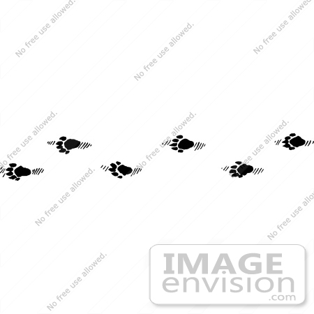#61644 Clipart Of Skunk Tracks In Black And White - Royalty Free Vector Illustration by JVPD