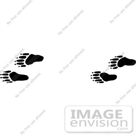 #61645 Clipart Of Raccoon Tracks In Black And White - Royalty Free Vector Illustration by JVPD