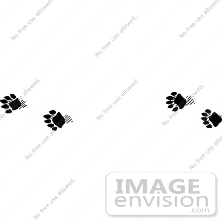 #61647 Clipart Of Fisher Tracks In Black And White - Royalty Free Vector Illustration by JVPD
