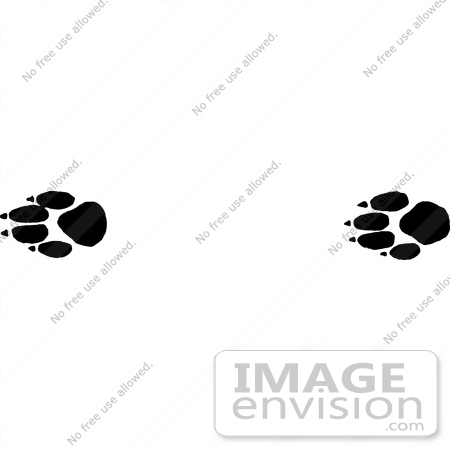 #61648 Clipart Of Prairie Wolf Tracks In Black And White - Royalty Free Vector Illustration by JVPD