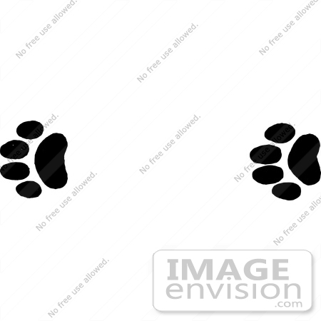 #61651 Clipart Of Bobcat Tracks In Black And White - Royalty Free Vector Illustration by JVPD