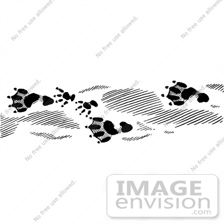 #61652 Clipart Of Beaver Tracks In Black And White - Royalty Free Vector Illustration by JVPD