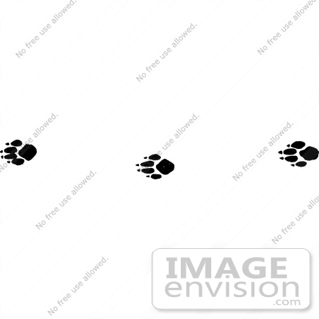 #61657 Clipart Of Red Fox Tracks In Black And White - Royalty Free Vector Illustration by JVPD