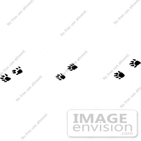 #61659 Clipart Of Mink Tracks In Black And White - Royalty Free Vector Illustration by JVPD
