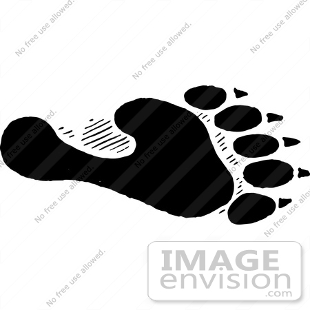 #61665 Clipart Of A Bear Hind Foot Track In Black And White - Royalty Free Vector Illustration by JVPD