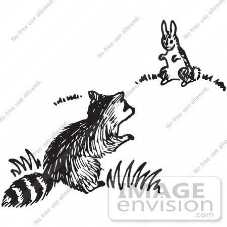 #61705 Clipart Of A Raccoon And Rabbit In Black And White - Royalty Free Vector Illustration by JVPD
