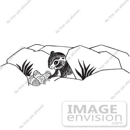 #61709 Clipart Of A Chipmunk And Food In Black And White - Royalty Free Vector Illustration by JVPD
