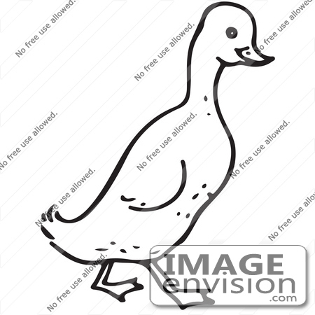 #61711 Clipart Of A Walking Duck In Black And White - Royalty Free Vector Illustration by JVPD