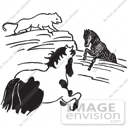 #61712 Clipart Of A Cougar Watching A Horse Stuck In Rocks In Black And White - Royalty Free Vector Illustration by JVPD