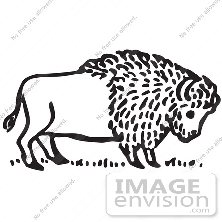 #61716 Clipart Of A Buffalo In Black And White - Royalty Free Vector Illustration by JVPD