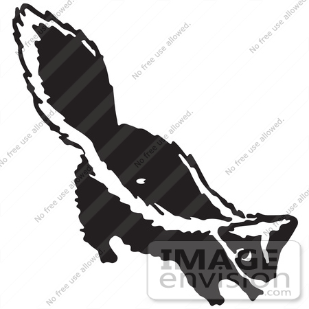 #61720 Clipart Of A Skunk In Black And White - Royalty Free Vector Illustration by JVPD