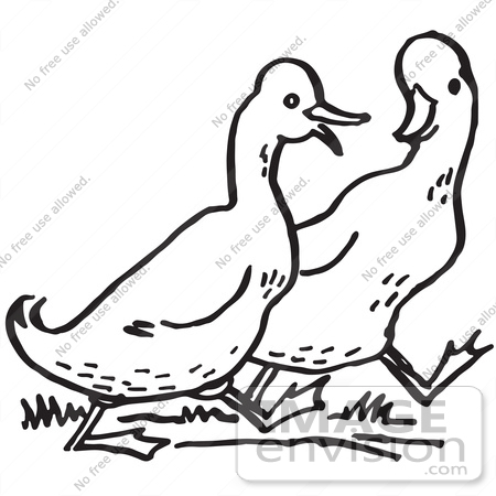 #61725 Clipart Of Walking Ducks In Black And White - Royalty Free Vector Illustration by JVPD