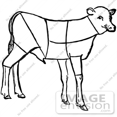 #61731 Clipart Of A Lamb Showing Cuts Of Veal In Black And White - Royalty Free Vector Illustration by JVPD