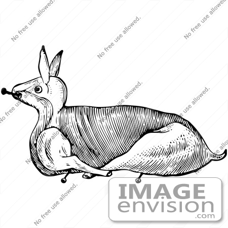 #61733 Clipart Of A Rabbit Trussed For Roasting In Black And White - Royalty Free Vector Illustration by JVPD