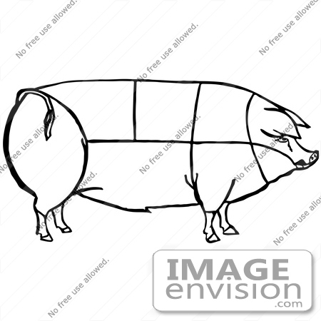 #61734 Clipart Of A Pig Showing Cuts Of Pork In Black And White - Royalty Free Vector Illustration by JVPD