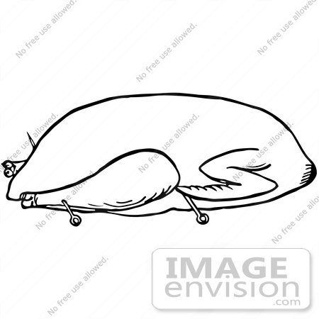 #61789 Clipart Of A Goose Trussed For Roasting In Black And White - Royalty Free Vector Illustration by JVPD