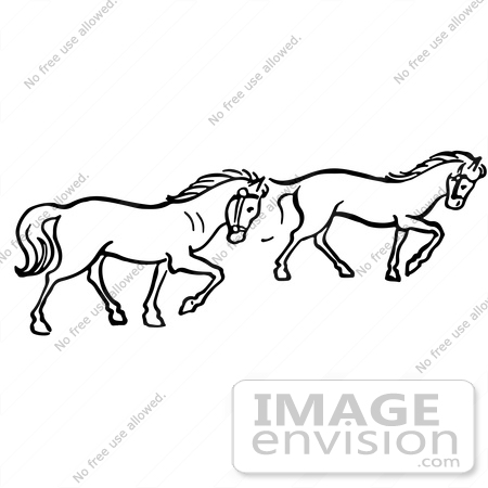 #61904 Clipart Of Two Trotting Horses In Black And White - Royalty Free Vector Illustration by JVPD