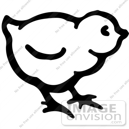 #61906 Clipart Of A Cute Baby Chick In Black And White - Royalty Free Vector Illustration by JVPD