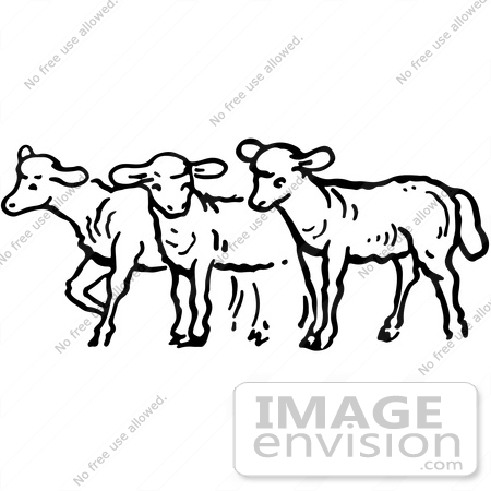 #61908 Clipart Of A Group Of Sheep In Black And White - Royalty Free Vector Illustration by JVPD