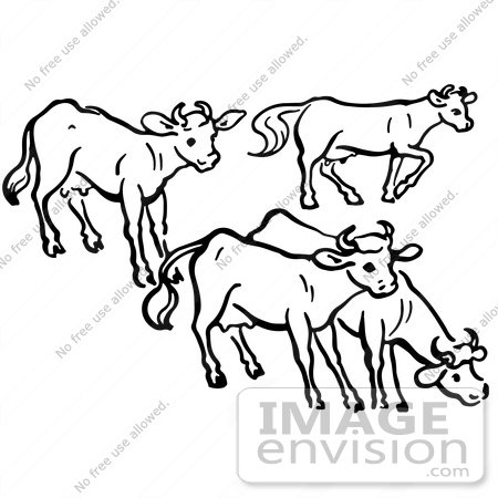 #61910 Clipart Of A Group Of Cows In Black And White - Royalty Free Vector Illustration by JVPD