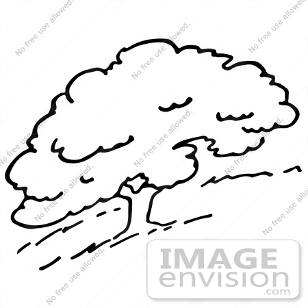 #61929 Clipart Of A Hillside Tree In Black And White - Royalty Free Vector Illustration by JVPD