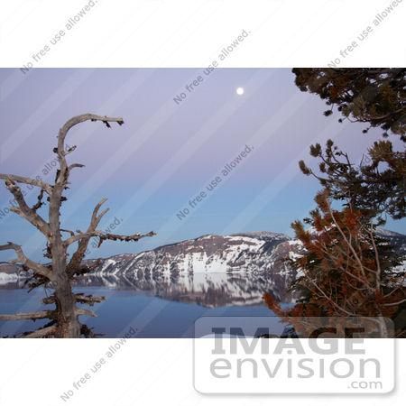 #631 Photograph of Trees Framing a Full Moon Over Crater Lake by Jamie Voetsch