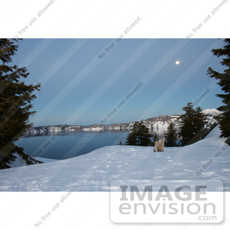 #635 Image of Evergreens Framing Crater Lake Under a Full Moon by Jamie Voetsch