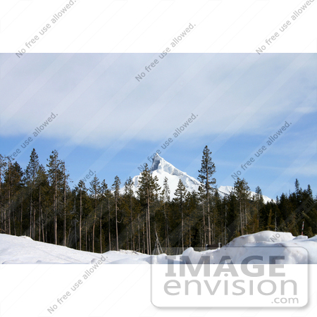 #646 Photograph of Mt Thielsen, February 2006 by Jamie Voetsch