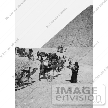 #6478 Caravan of Bedouins Leaving the Egyptian Pyramids by JVPD