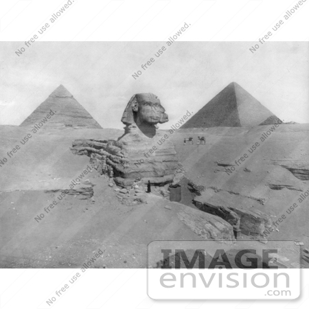 #6481 The Great Sphinx and the Egyptian Pyramids by JVPD
