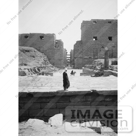 #6506 Avenue of Sphinxes, Karnak by JVPD