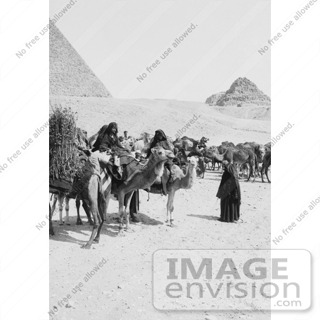 #6507 Caravan of Bedouins by the Egyptian Pyramids by JVPD