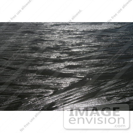 #711 Image of Sunlight on Wet Sands by Jamie Voetsch