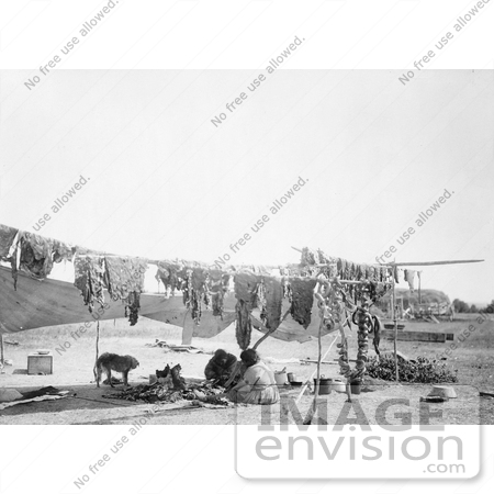 #7154 Stock Image: Sioux Indians Cutting and Drying Meat by JVPD