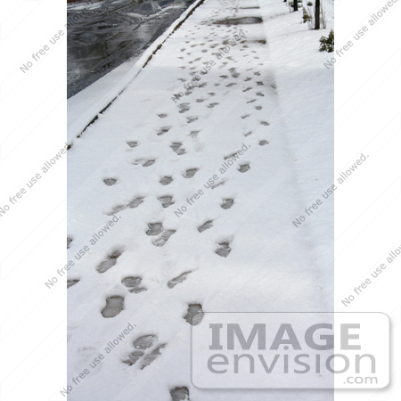 #737 Photo of Footprints in Snow on a Sidewalk by Jamie Voetsch