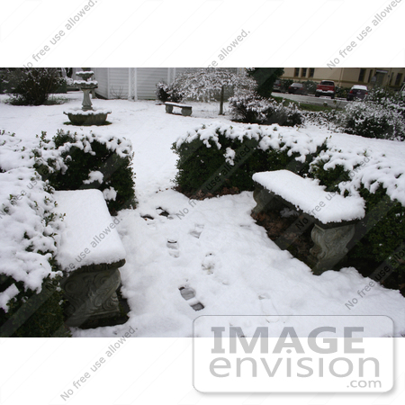 #747 Photo of Two Benches and a Birdbath Covered in Snow by Jamie Voetsch