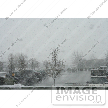 #769 Photograph of Snow Falling Over a Parking Lot by Jamie Voetsch