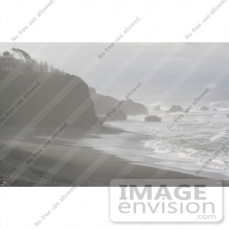 #779 Photography of the Oregon Coast with Windblown Tree on a Cliff by Kenny Adams
