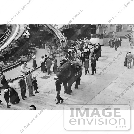 #7834 Picture of Elephant Rides, Coney Island by JVPD