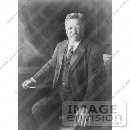 #7877 Picture of Theodore Roosevelt in 1910 by JVPD